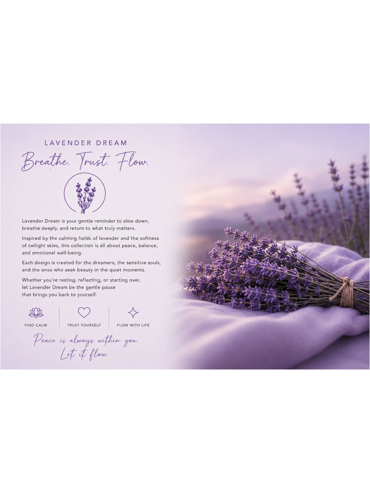 🪻Lavender dream